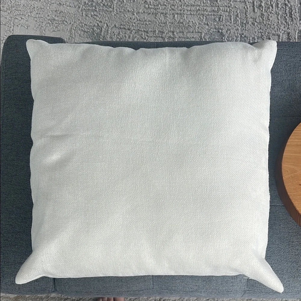 West Elm charming pillow